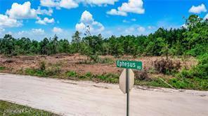 0 Ephesus & Middle Road Hilliard, FL 32046 - Photo 10 of 10 mr10
