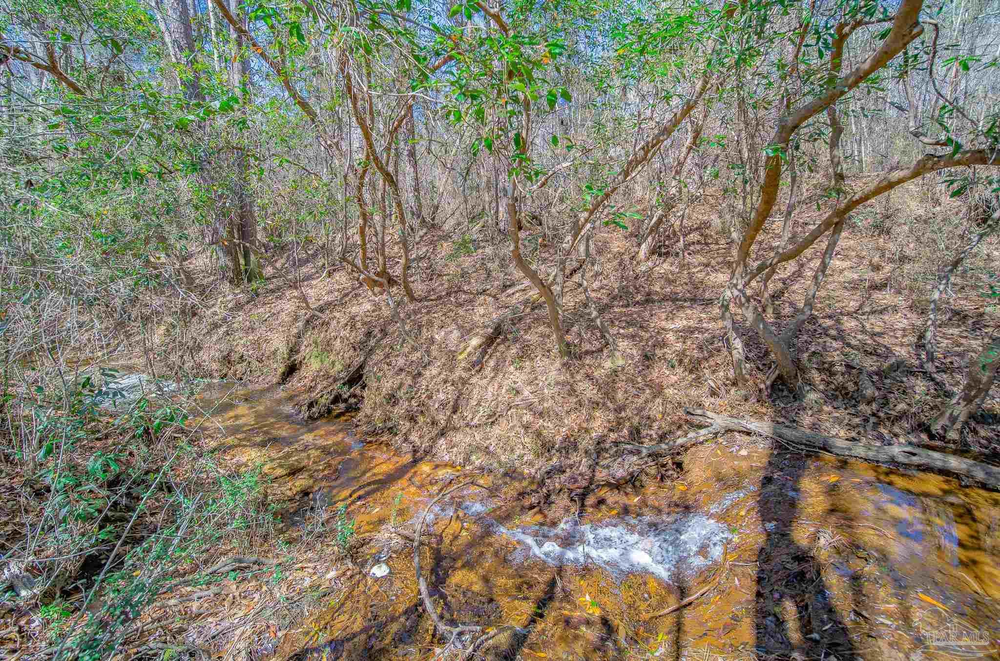 2800 Dunsford Road Jay, FL 32565 - Photo 31 of 42 a view of tree