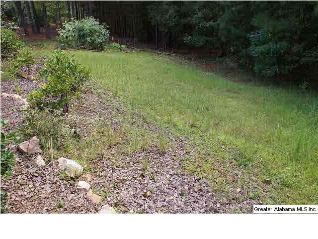632 Narrows Point Way Birmingham, AL 35242 - Photo 24 of 27