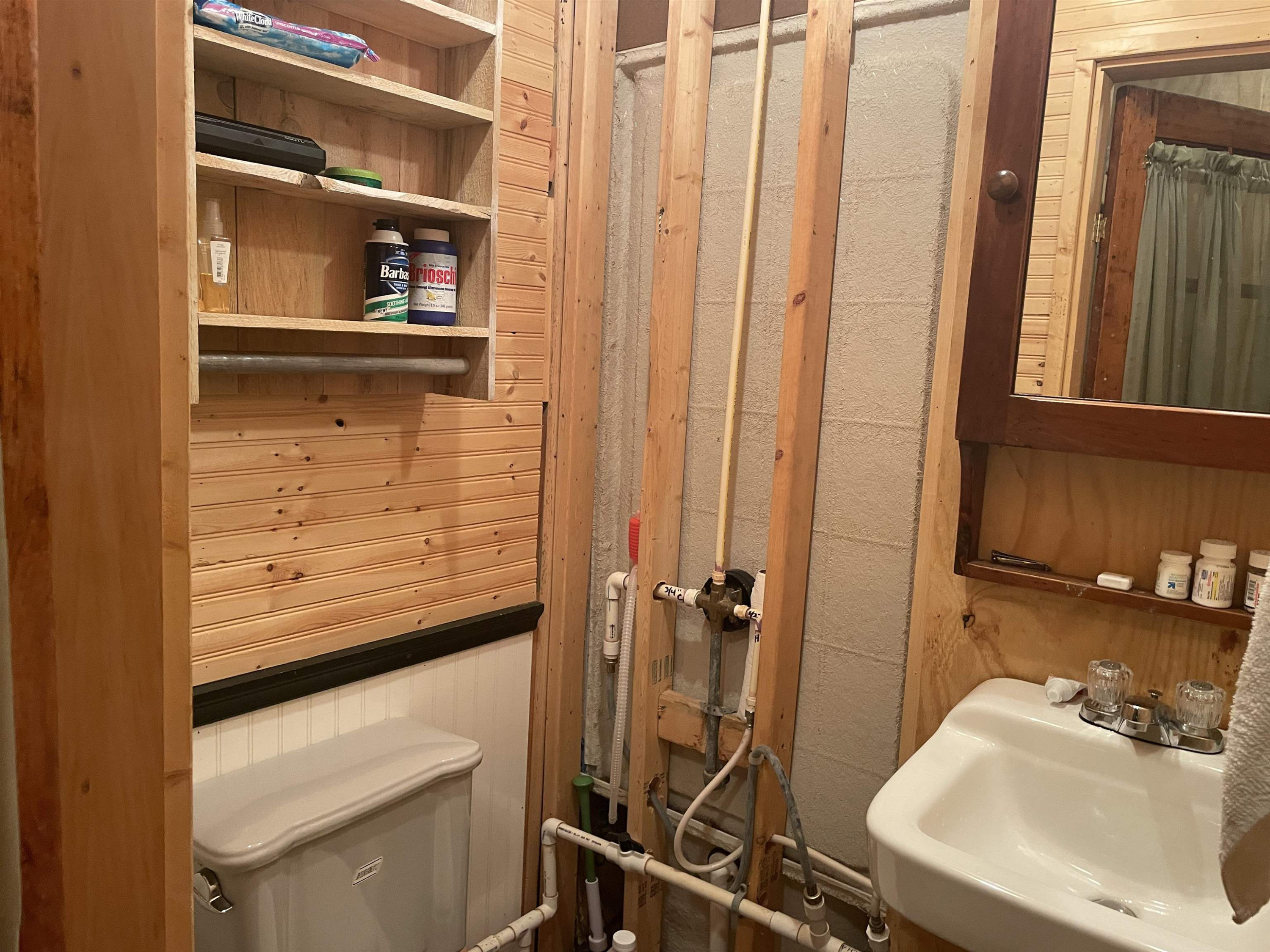 145 Mockingbird Road Medon, TN 38356 - Photo 6 of 24 a bathroom with a sink and a mirror