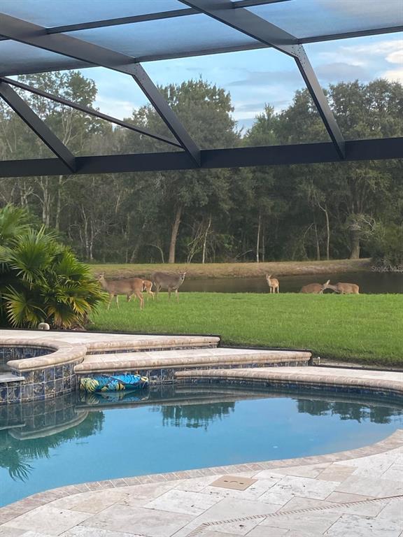 18408 Bittern Avenue Lutz, FL 33558 - Photo 30 of 36