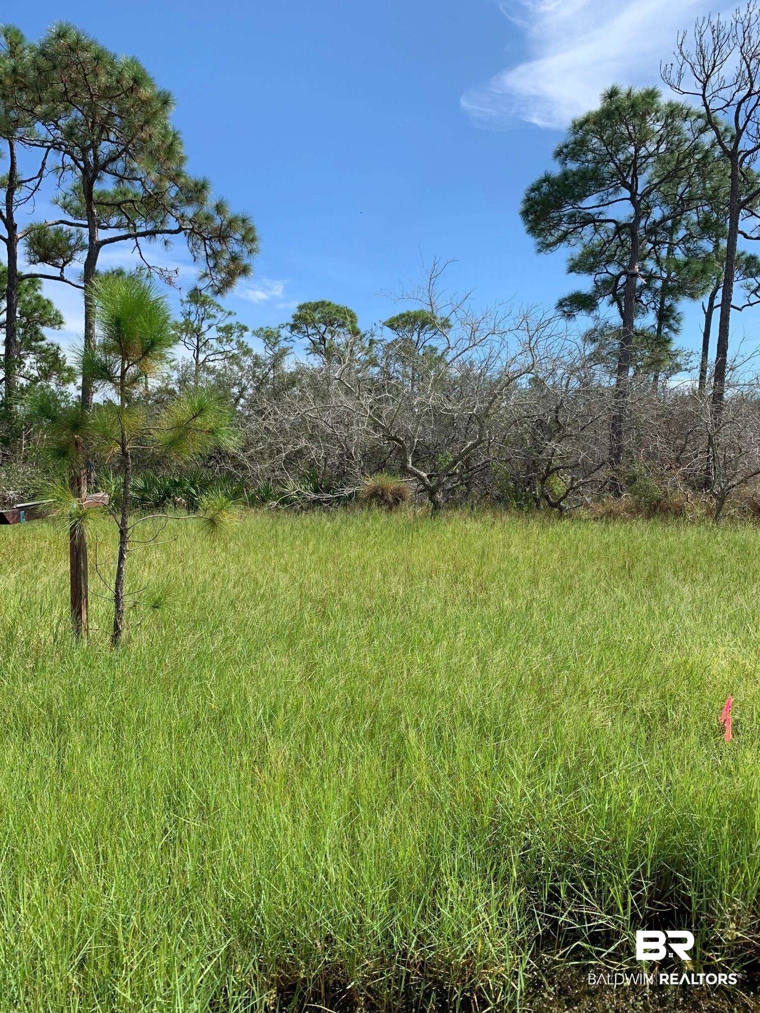 8410 H Street Gulf Shores, AL 36542 - Photo 1 of 5