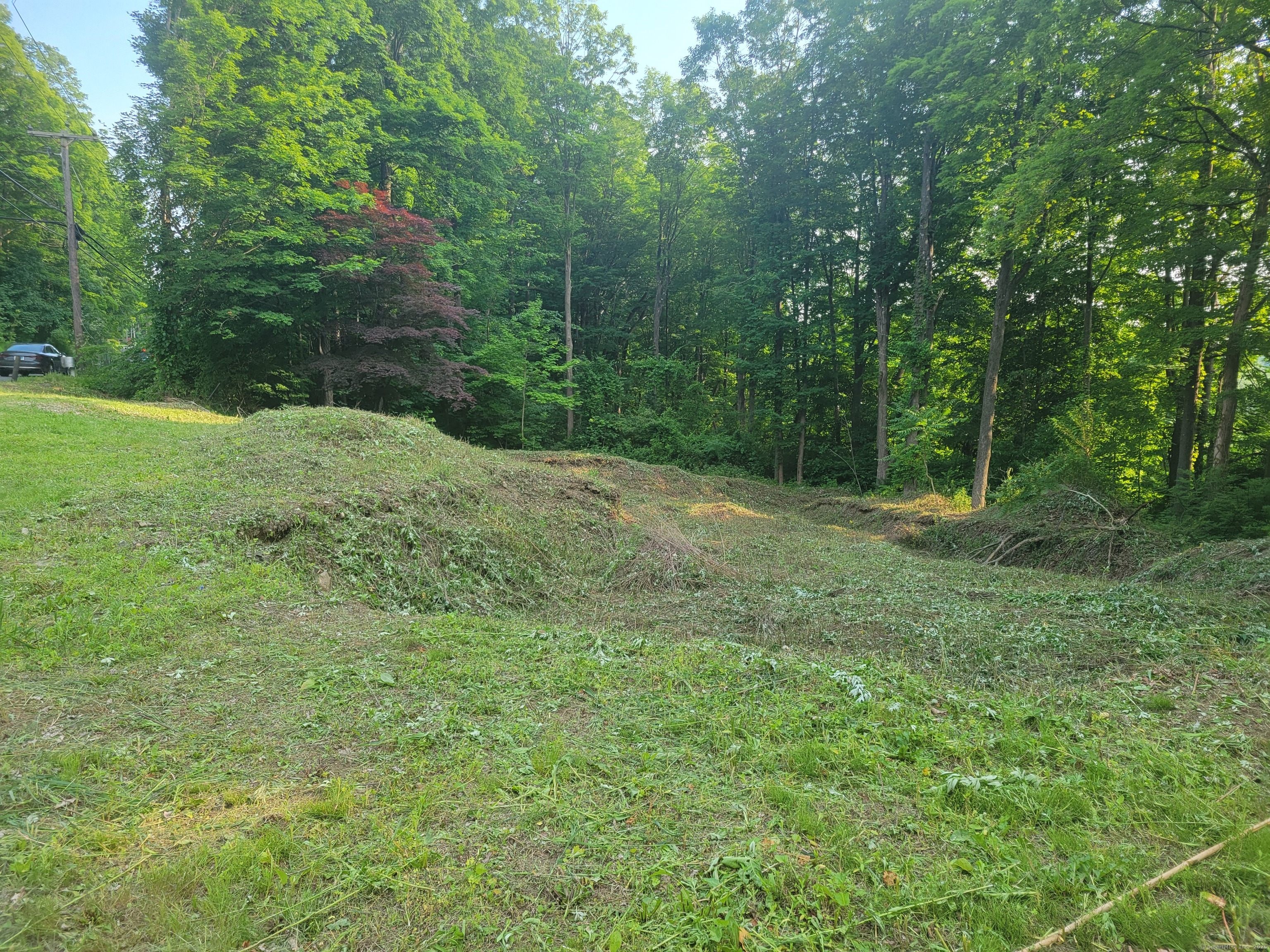 a big yard with lots of green space and deers
