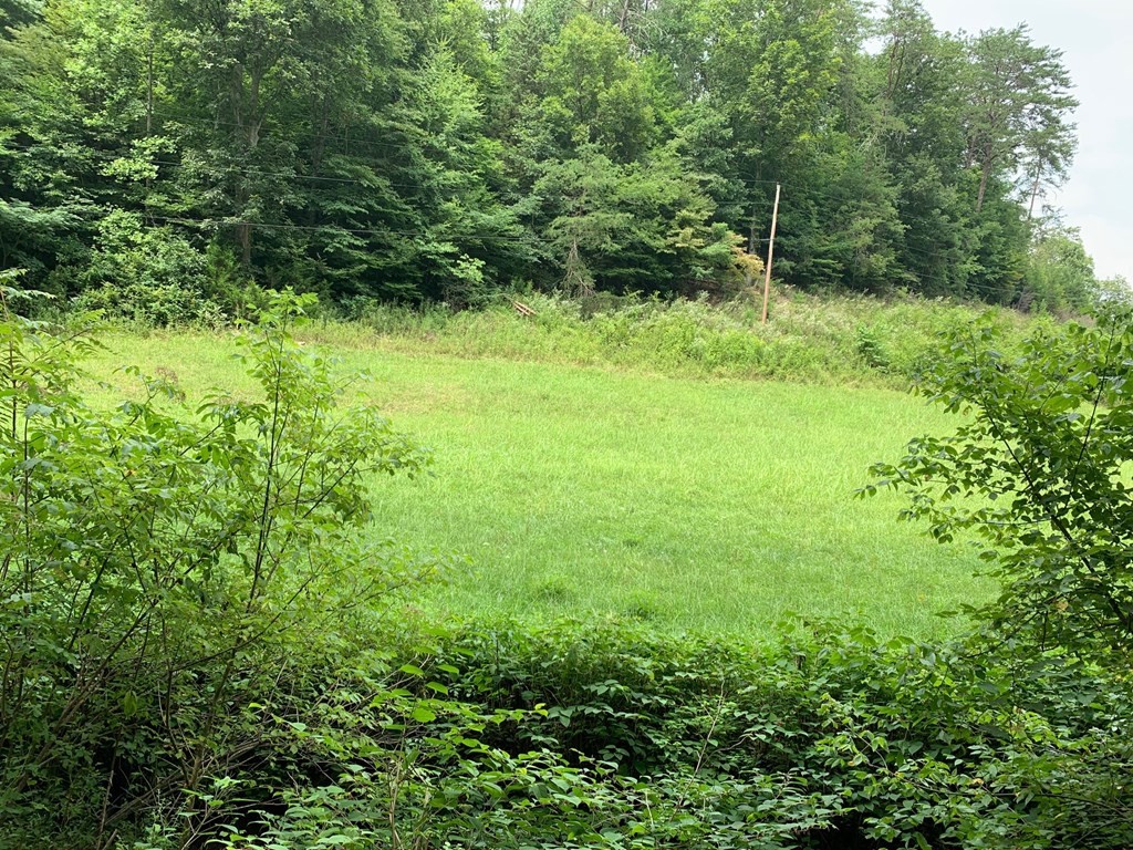 0 Long Branch Road Seymour, TN 37865 - Photo 5 of 5