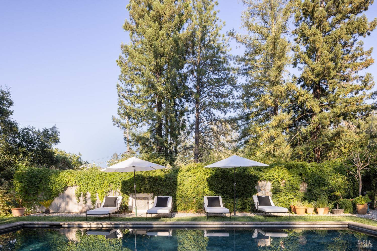 971 Petrified Forest Road Calistoga, CA 94515 - Photo 1 of 1 Gallery Image 1