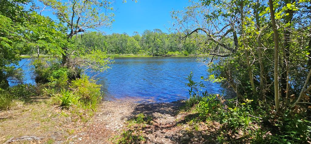 570 Clark's Landing Road Carrabelle, FL 32322 - Photo 13 of 18