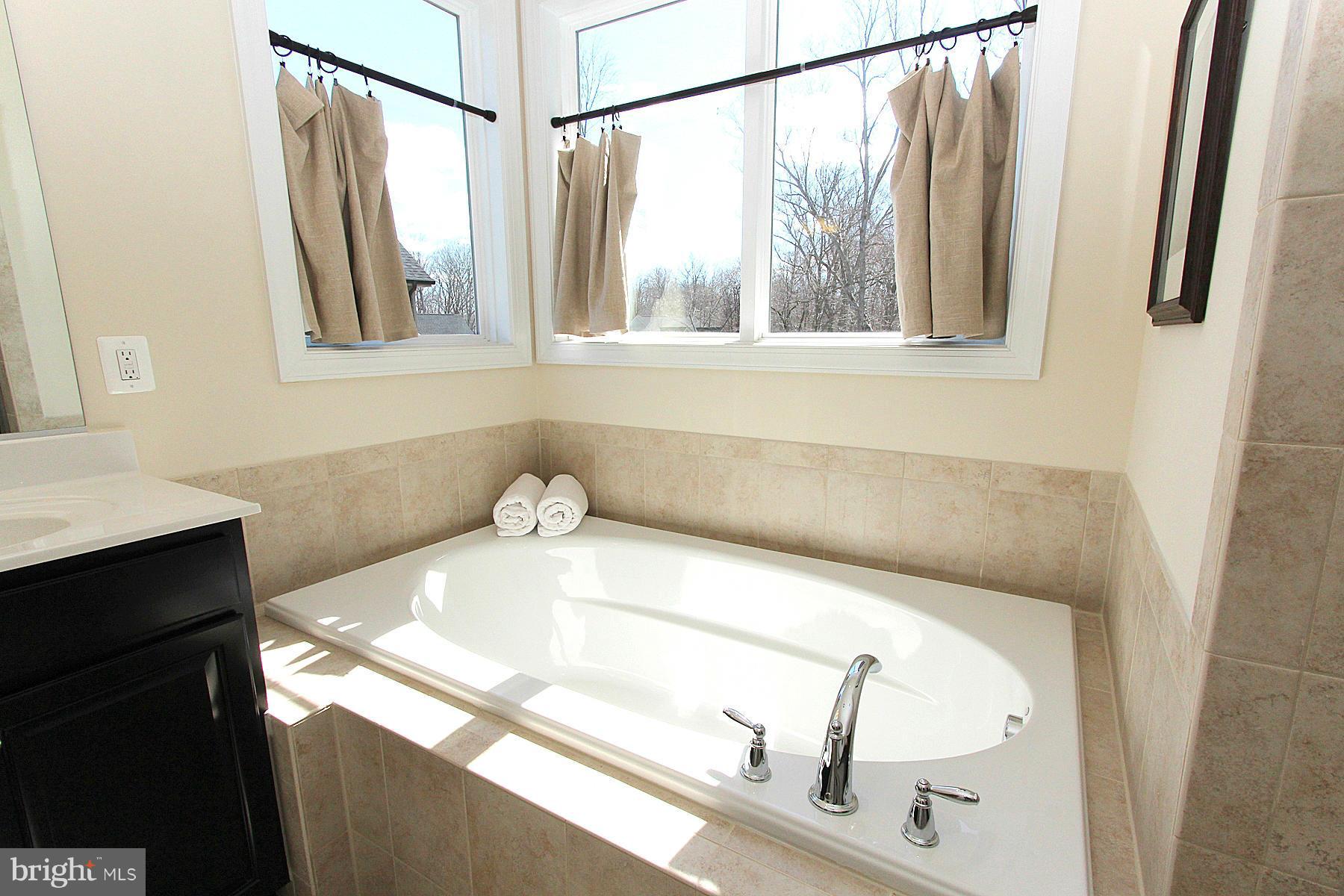 4456 Spring Run Road Warrenton, VA 20187 - Photo 21 of 28 Soaking tub