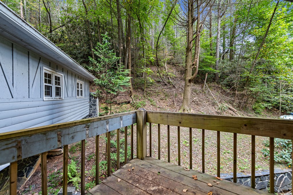 220 Old Ml Trace Blue Ridge, GA 30513 - Photo 63 of 78 Gallery Image 63