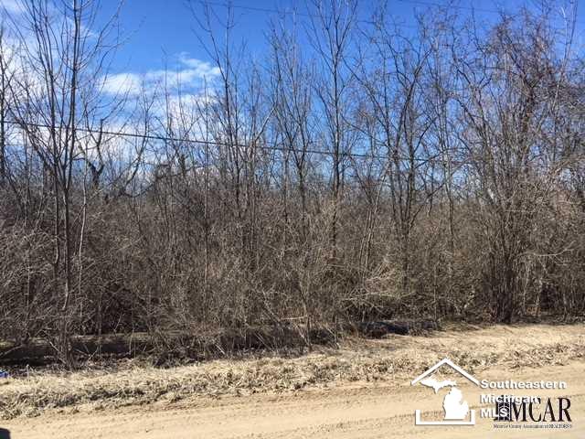 0 South Harris Road Ypsilanti, MI 48198 - Photo 2 of 4