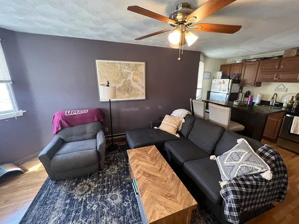 a living room with furniture and a rug