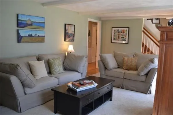 a living room with furniture and a couch