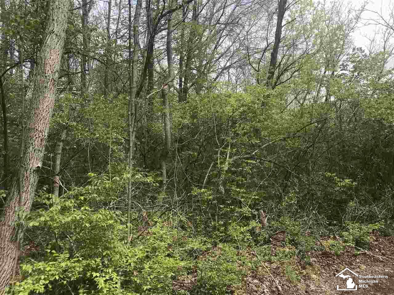 0 Bunton Road Milan, MI 48160 - Photo 6 of 22