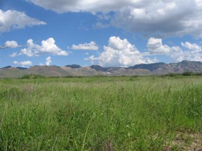 0 East Many Wells Road East Bowie, AZ 85605 - Photo 1 of 3