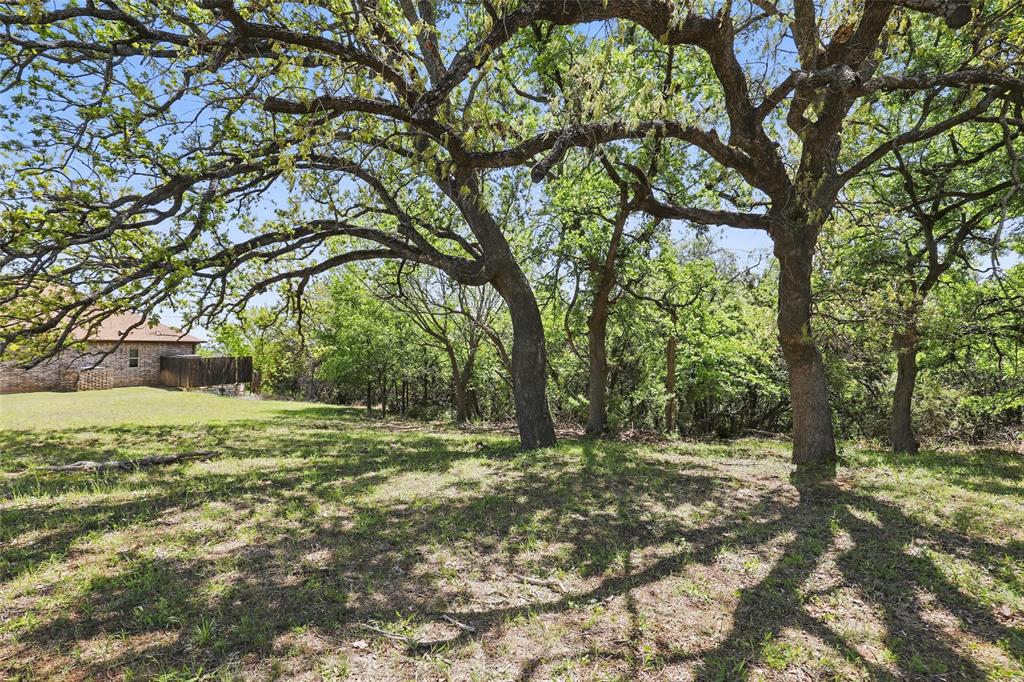 9804 Bellechase Road Granbury, TX 76049 - Photo 10 of 18 a big yard with lots of green space and trees