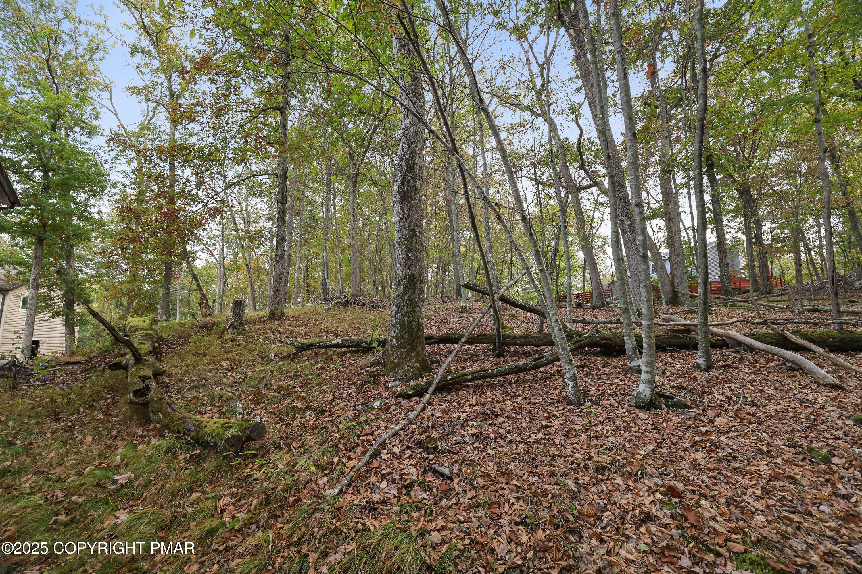 385 Saunders Drive Bushkill, PA 18324 - Photo 36 of 42 a backyard of a house with lots of green space