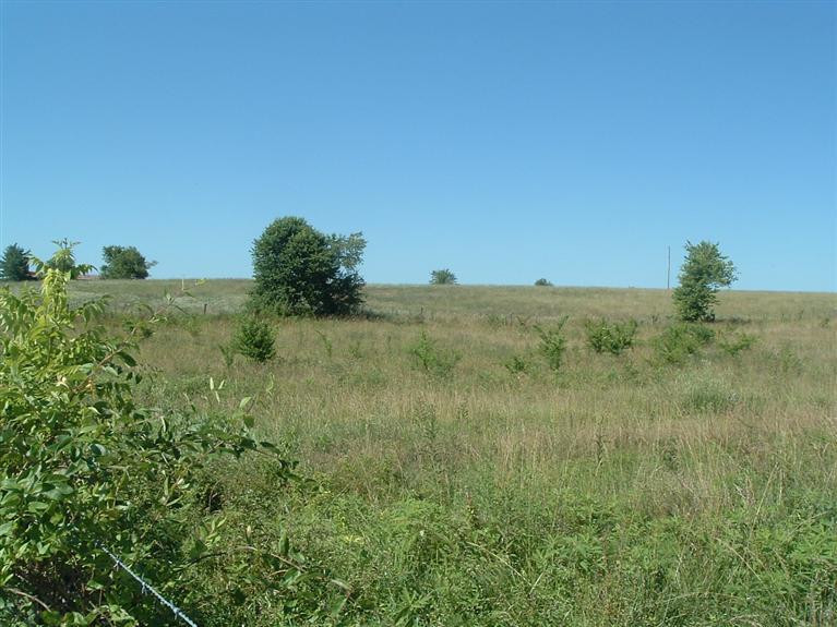 0 Quirks Run Road, Unit LOT 6 Danville, KY 40422 - Photo 6 of 7 Photo 6