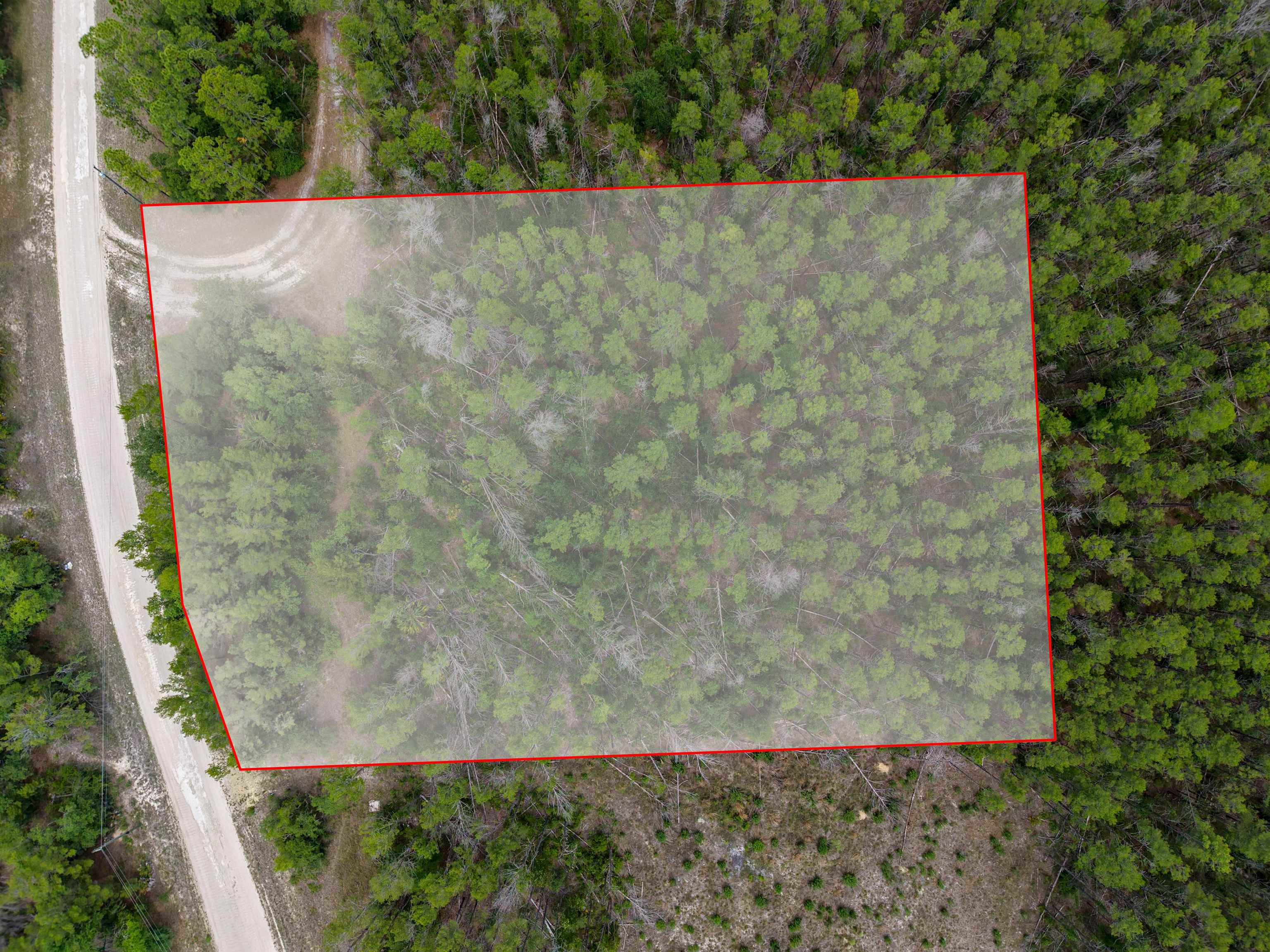 Tbd Ocean Pond Road Perry, FL 32348 - Photo 18 of 21
