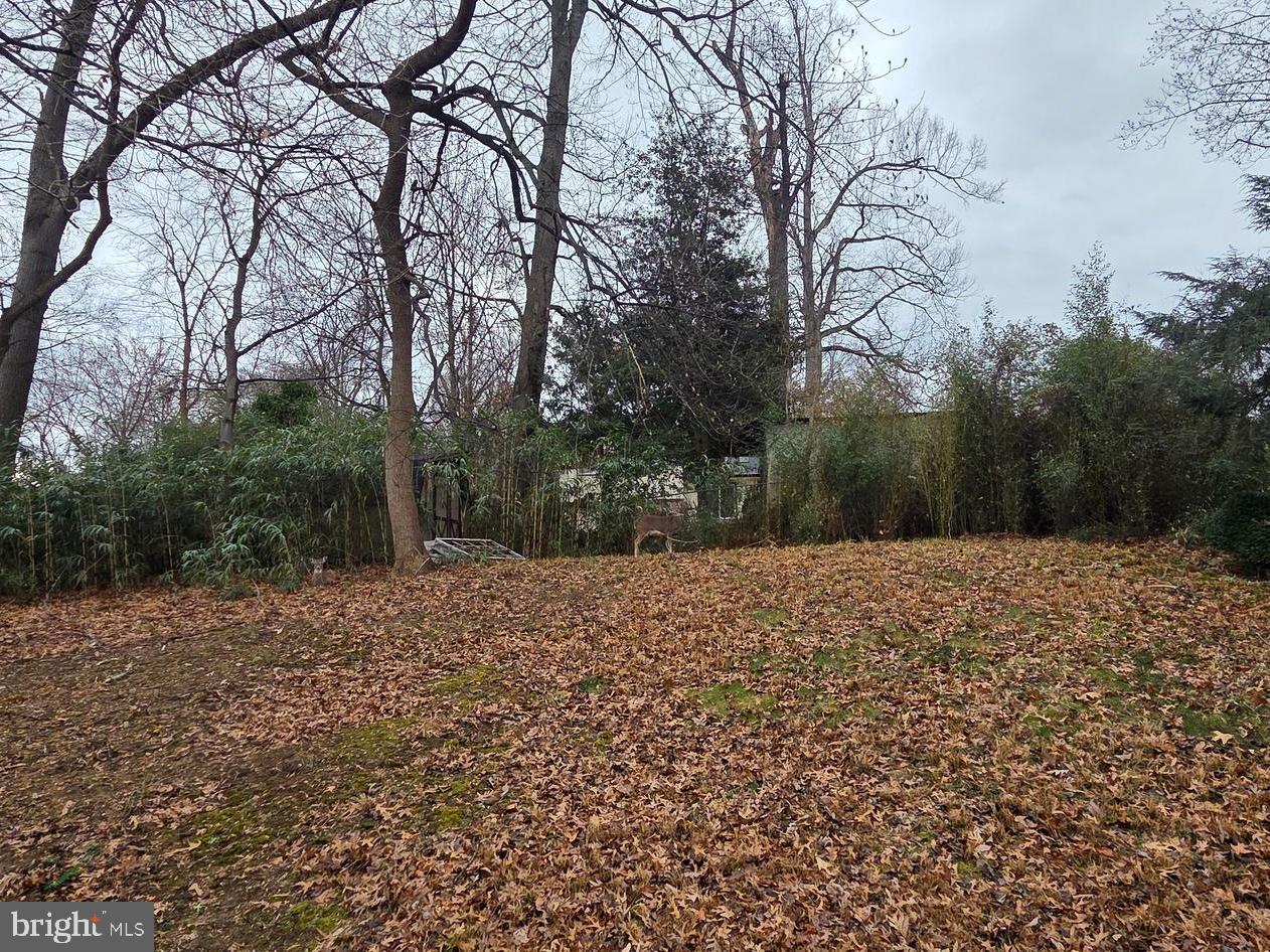 716 Calvert Lane Fort Washington, MD 20744 - Photo 3 of 31 Backyard