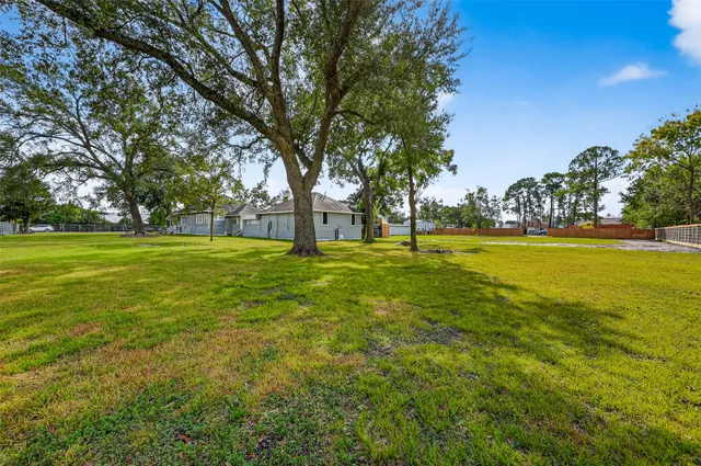 a view of a trees in a yard