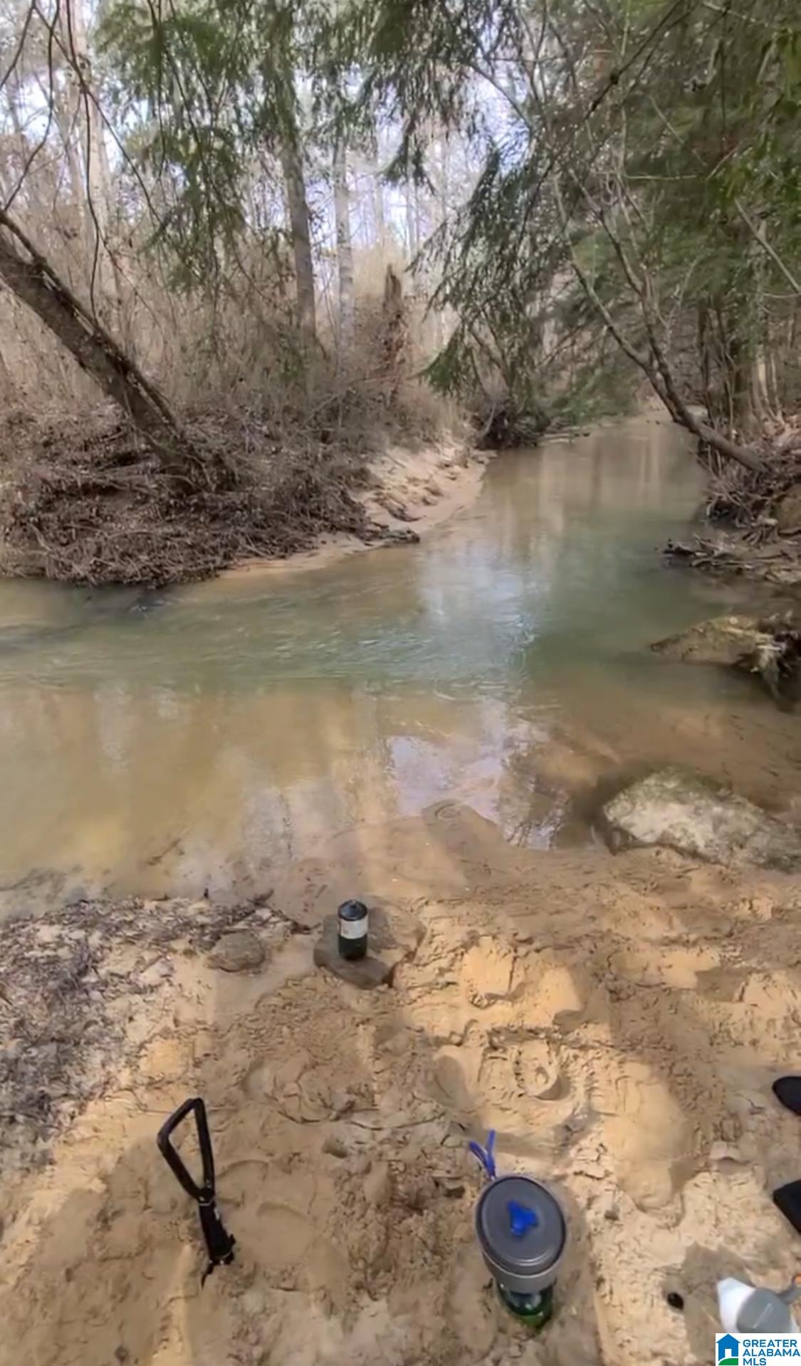 2 County Road 2, Unit 50 / ACRES Double Springs, AL 35553 - Photo 5 of 79
