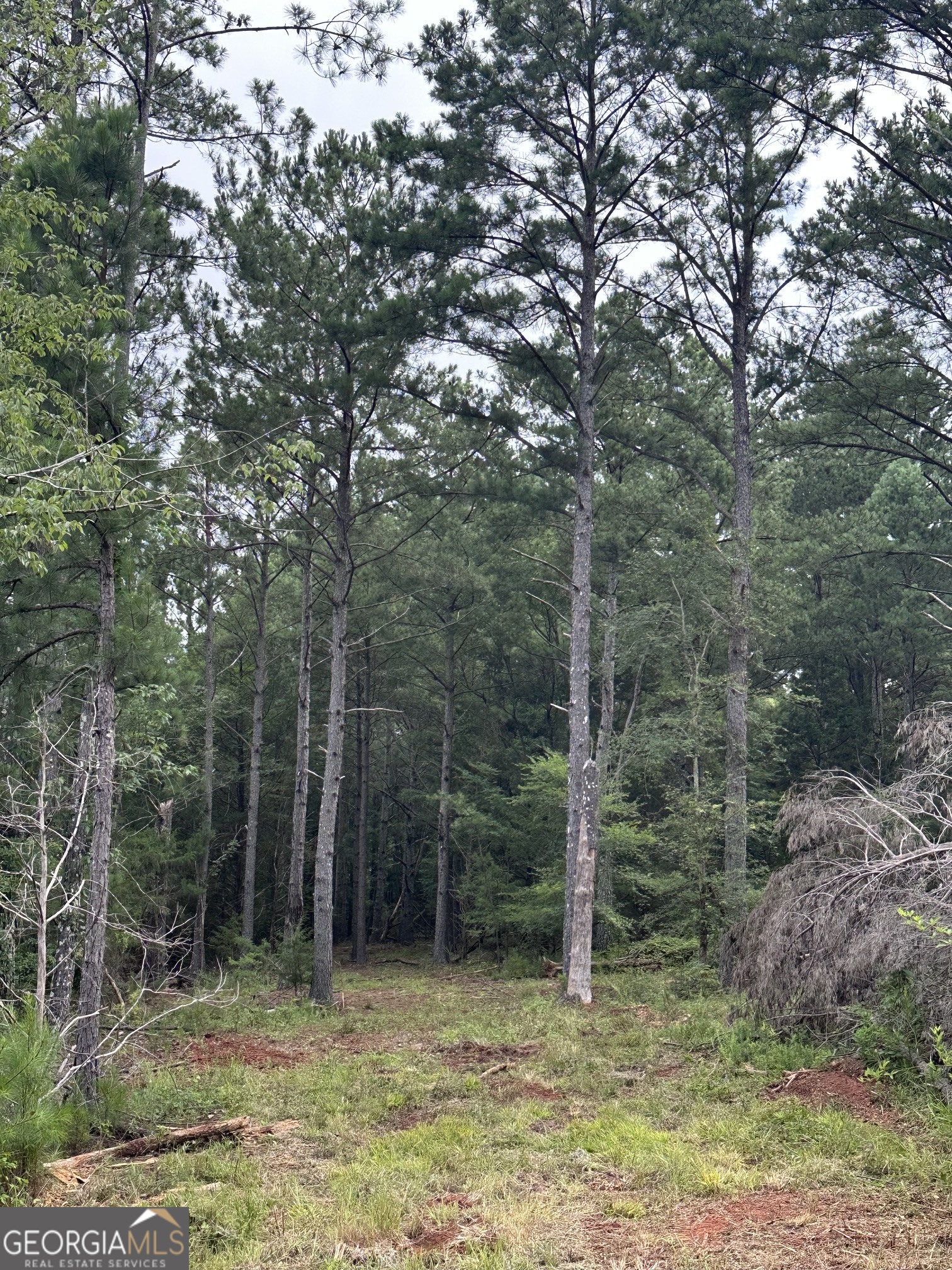 440 West Williamson Road Williamson, GA 30292 - Photo 7 of 23
