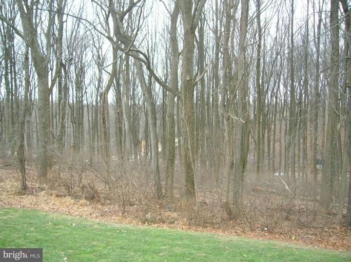 1412 Rock Ridge Road Jarrettsville, MD 21084 - Photo 16 of 17 Deck - View from