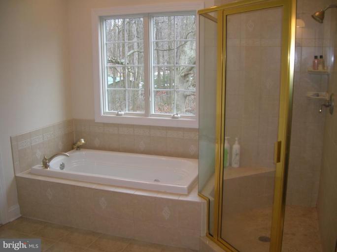 1412 Rock Ridge Road Jarrettsville, MD 21084 - Photo 8 of 17 Master Bath