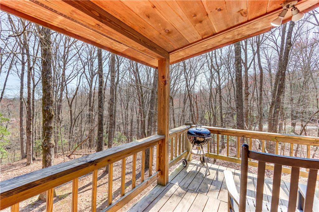 216 Brookhaven Trail Blue Ridge, GA 30513 - Photo 42 of 77