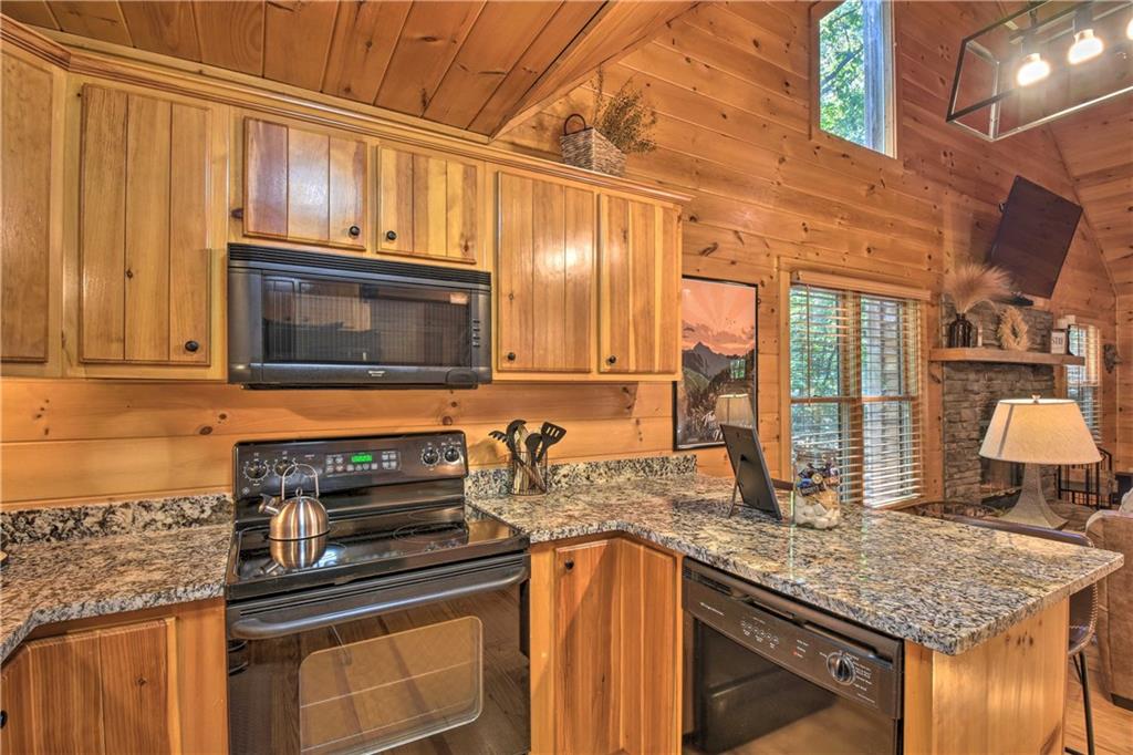 216 Brookhaven Trail Blue Ridge, GA 30513 - Photo 59 of 77
