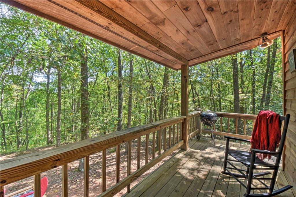 216 Brookhaven Trail Blue Ridge, GA 30513 - Photo 65 of 77