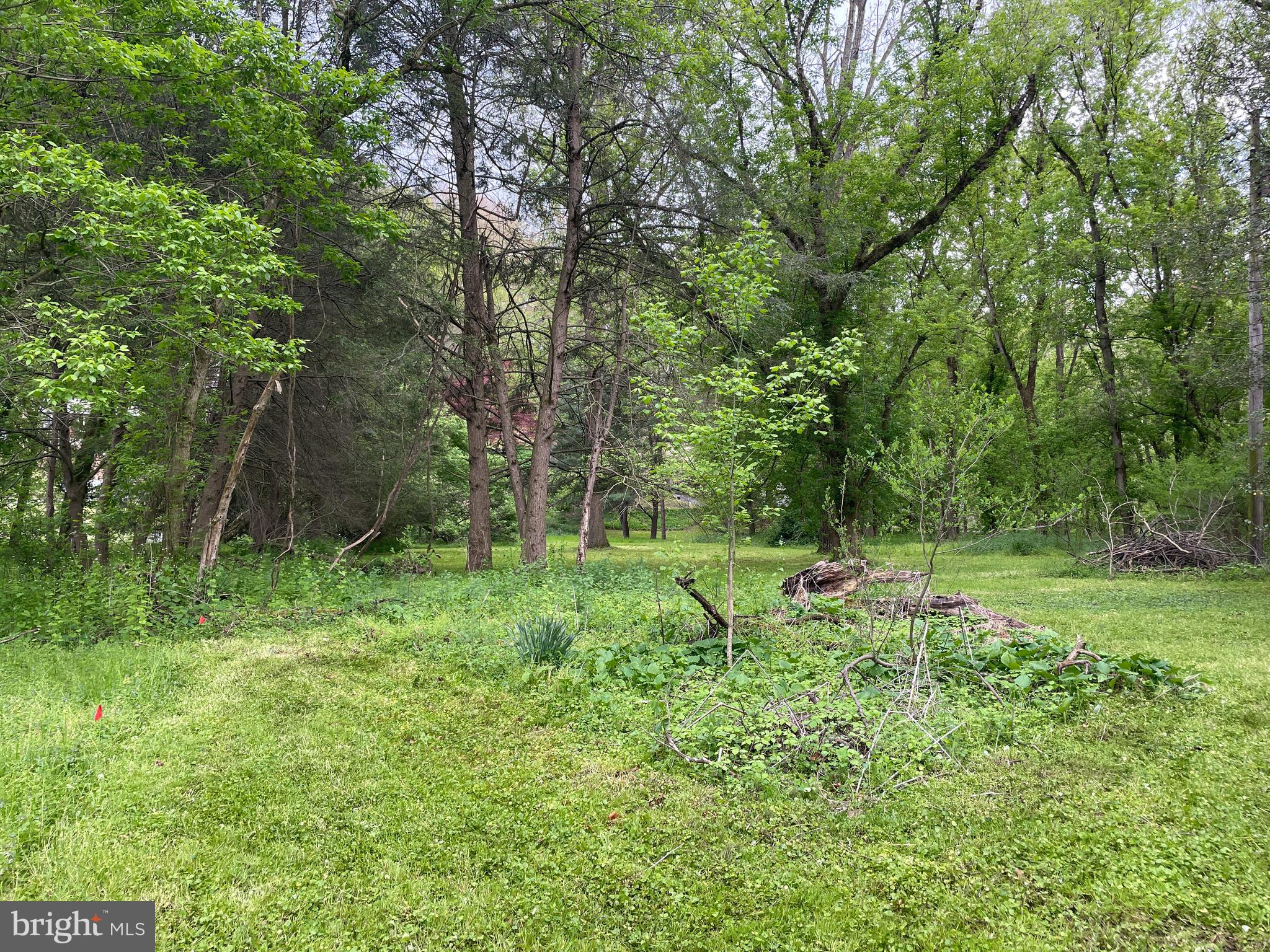 0 River Road Pequea, PA 17565 - Photo 15 of 28 a view of backyard with green space