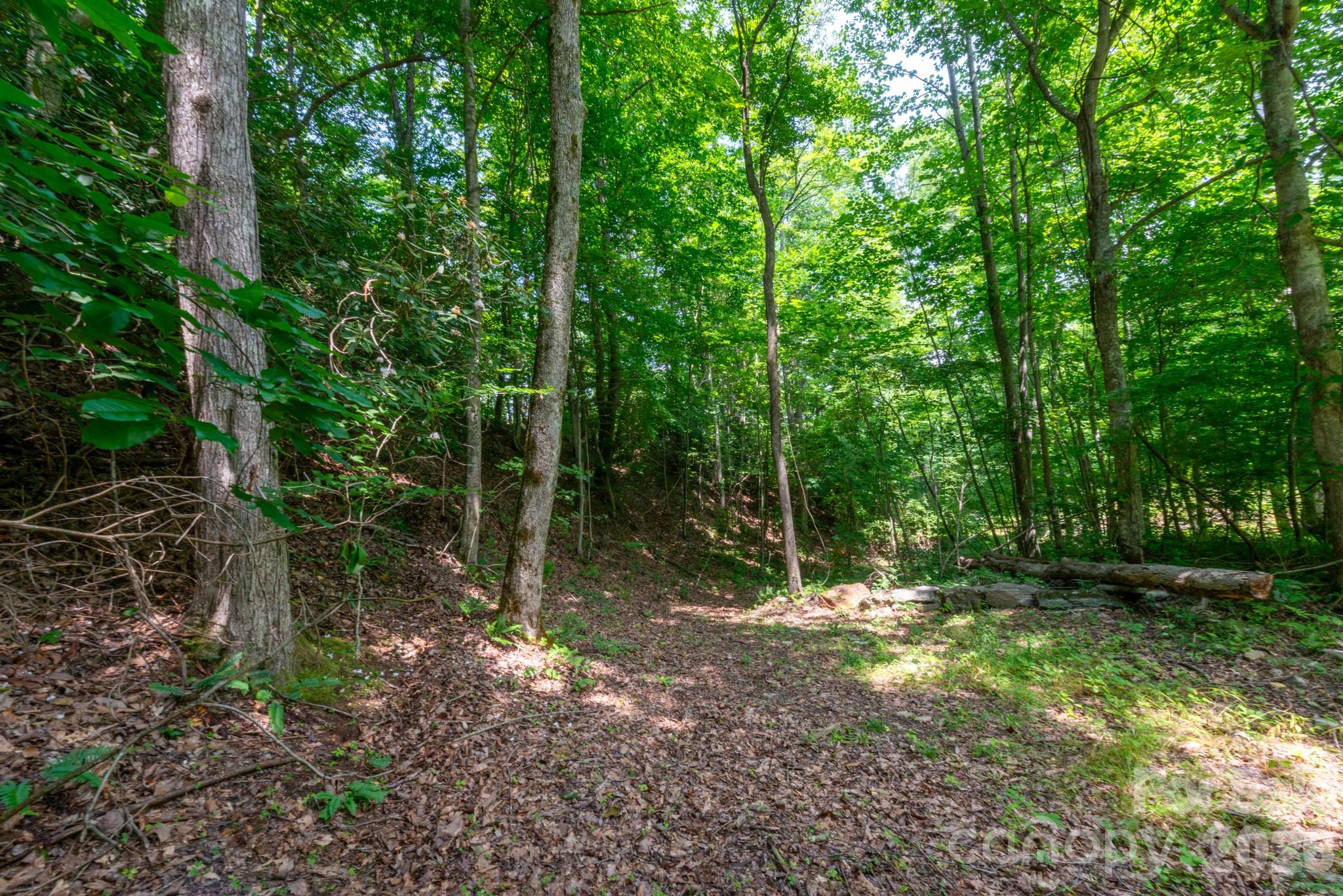 ### Board Tree Road, Unit 4 Marshall, NC 28753 - Photo 11 of 17 a view of outdoor space and tree