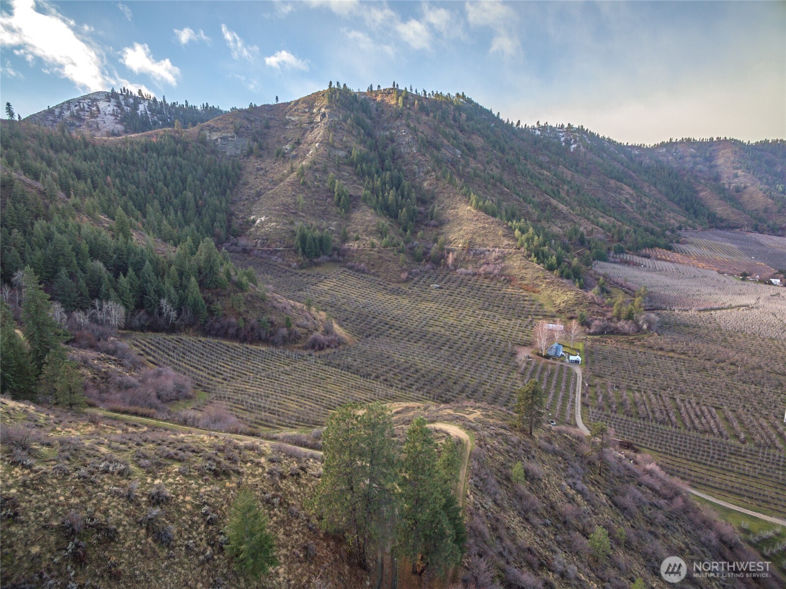 0 Tigner Road Cashmere, WA 98815 - Photo 12 of 21 a view of a dry yard with mountains in the background