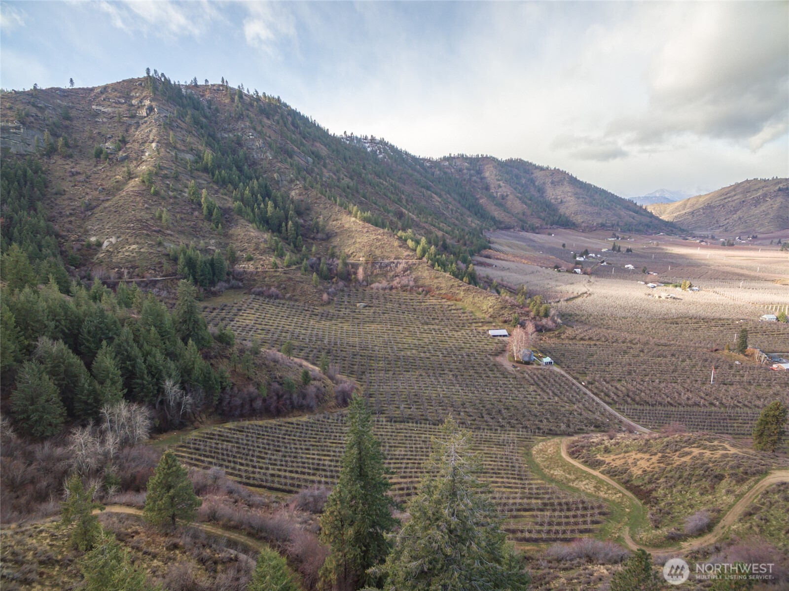 0 Tigner Road Cashmere, WA 98815 - Photo 14 of 21 a view of a dry yard