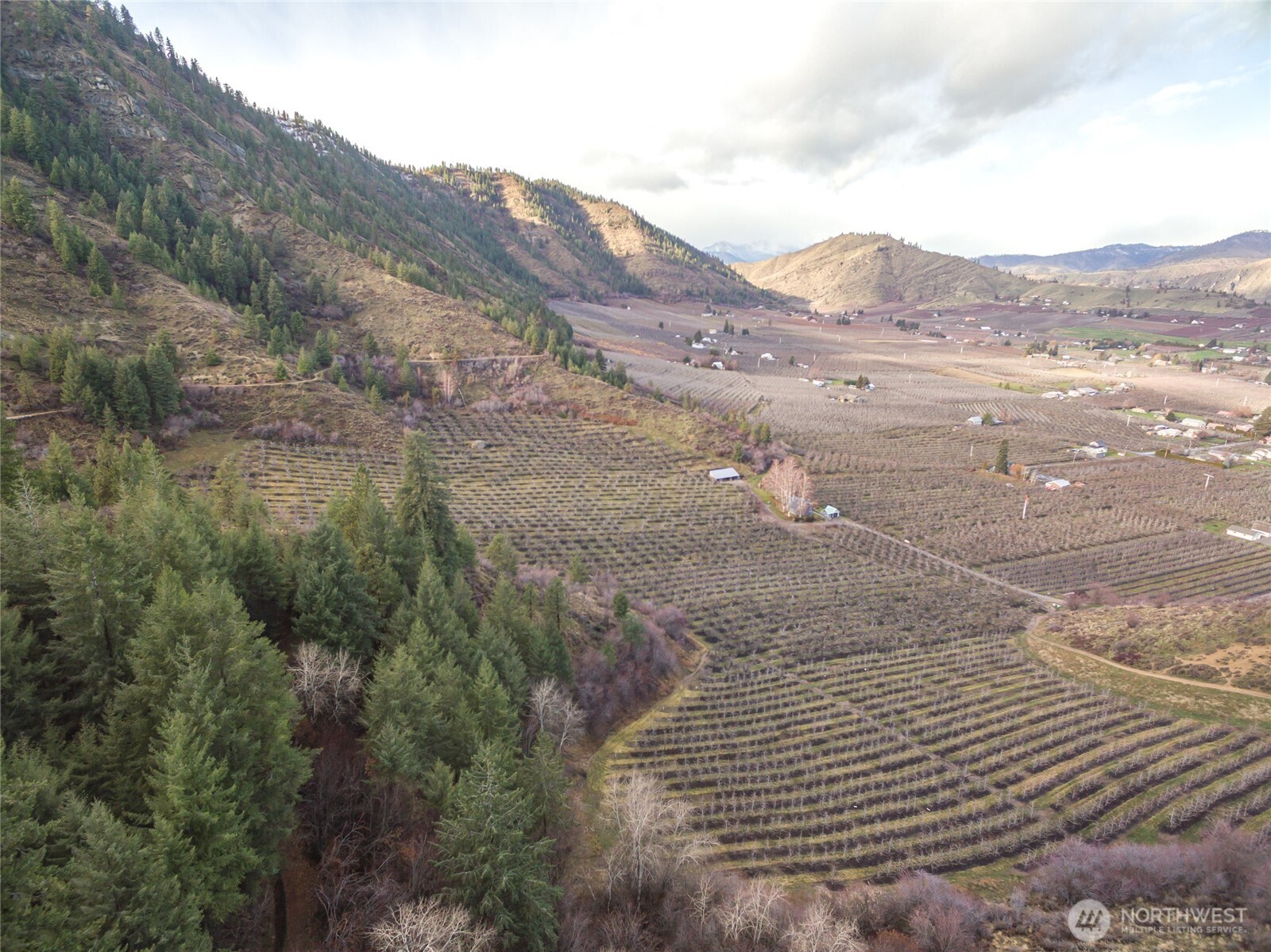0 Tigner Road Cashmere, WA 98815 - Photo 9 of 21 a view of a dry yard with mountains in the background