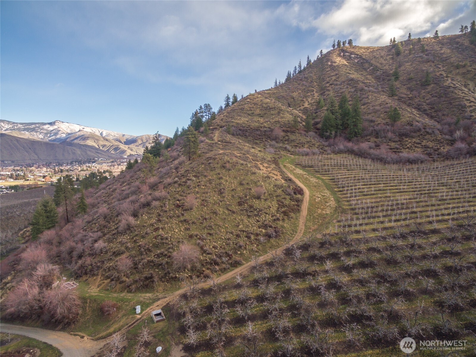 0 Tigner Road Cashmere, WA 98815 - Photo 10 of 21 a view of a dry yard