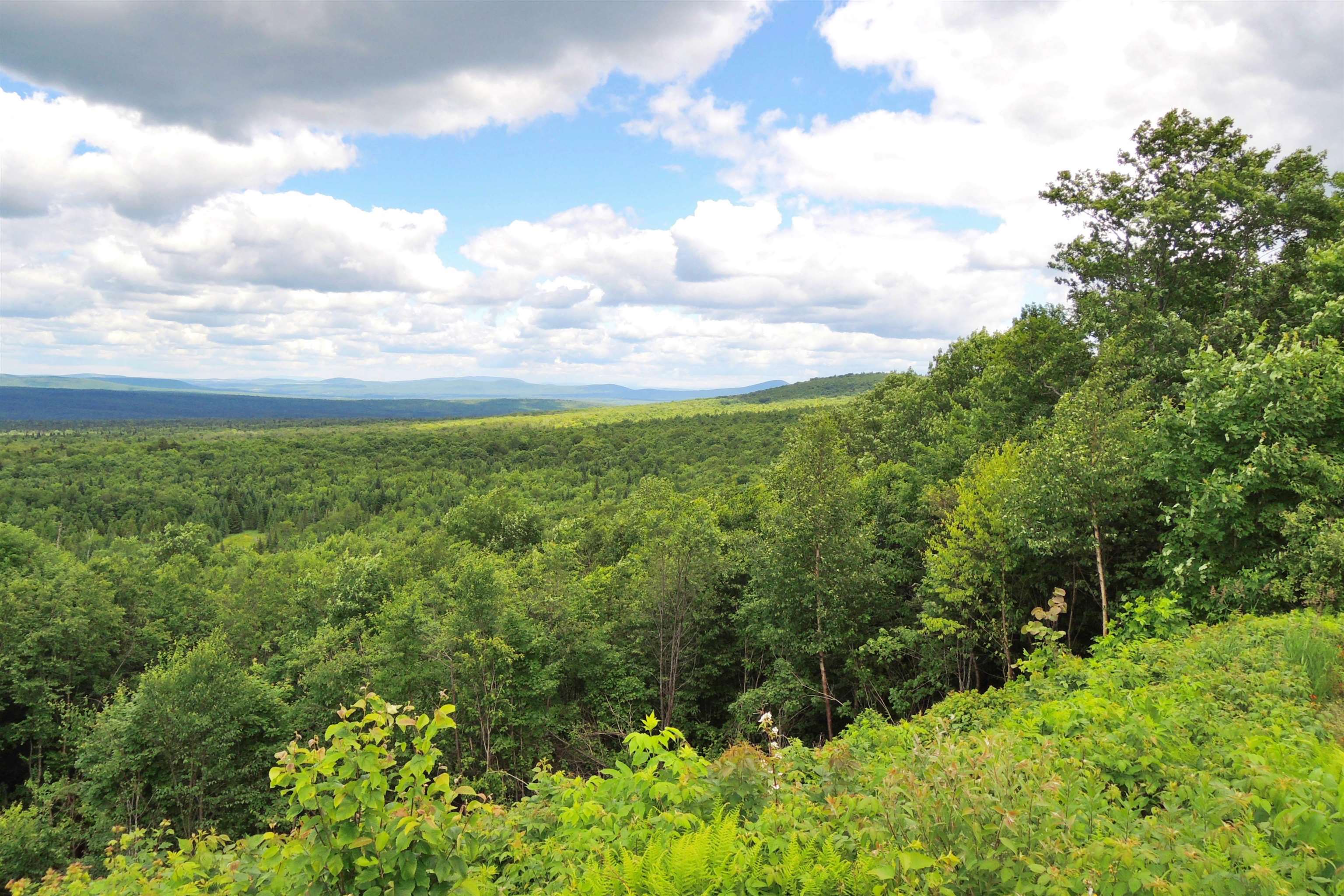 3383 Island Pond Road Morgan, VT 05853 - Photo 21 of 40