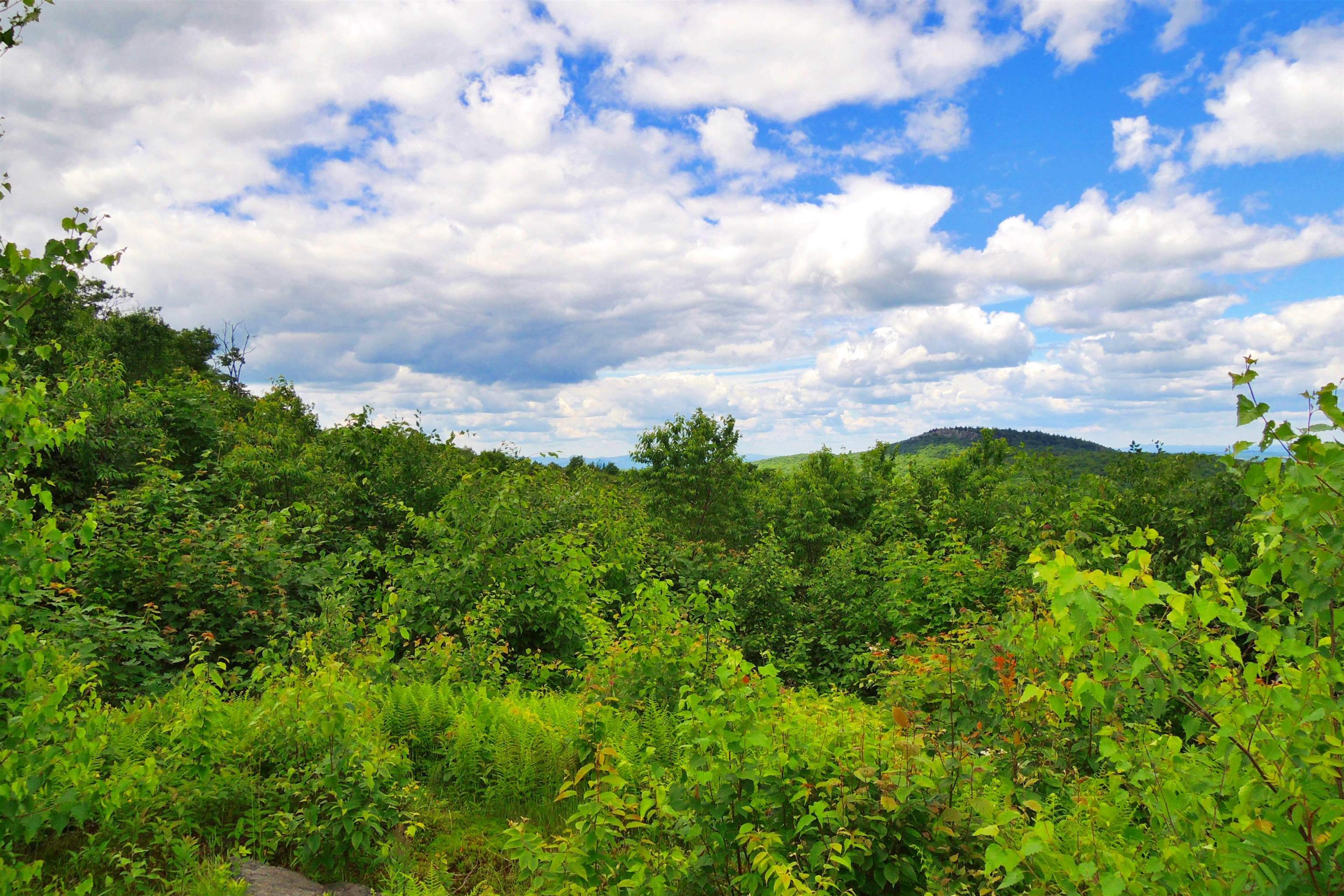 3383 Island Pond Road Morgan, VT 05853 - Photo 22 of 40