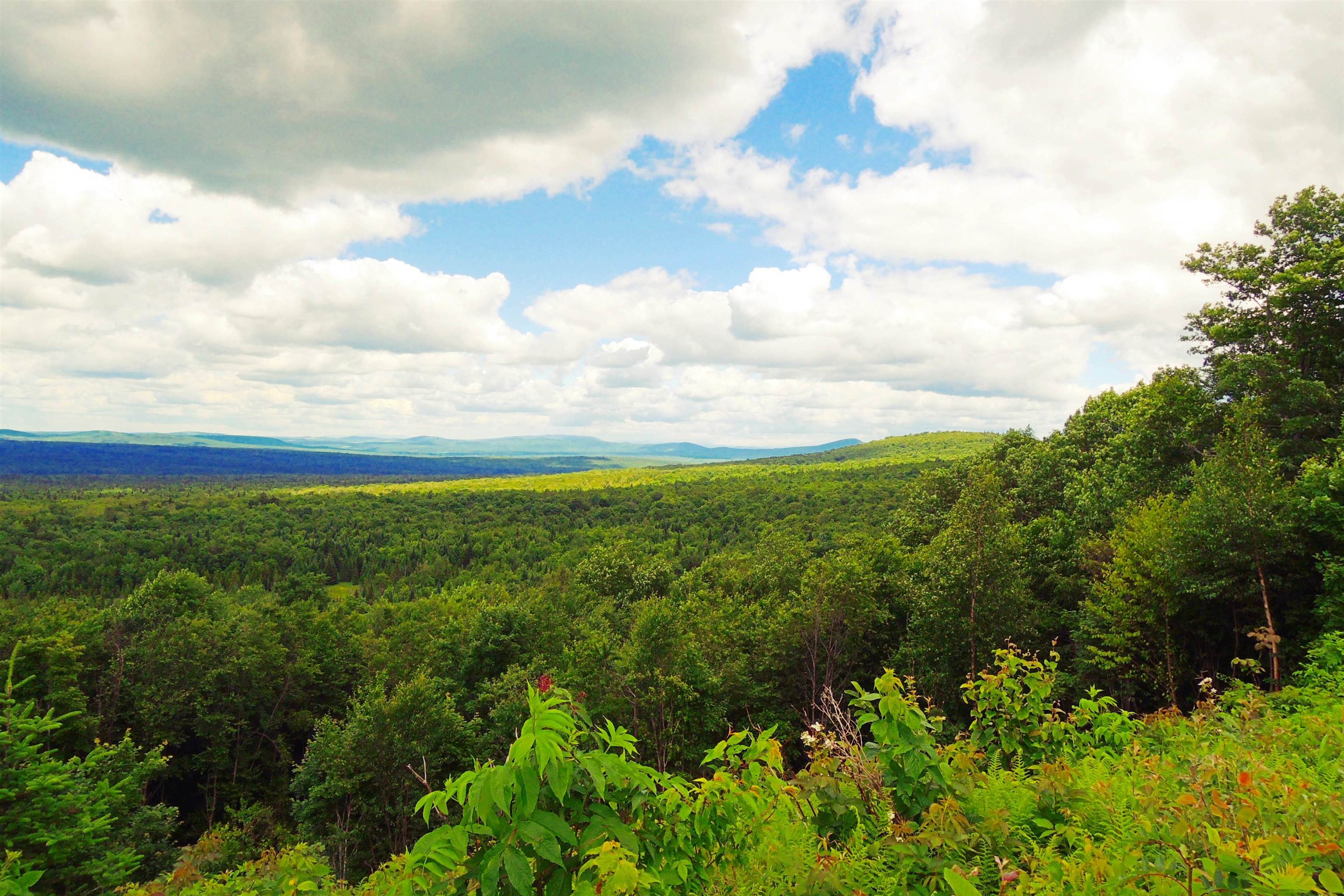 3383 Island Pond Road Morgan, VT 05853 - Photo 24 of 40
