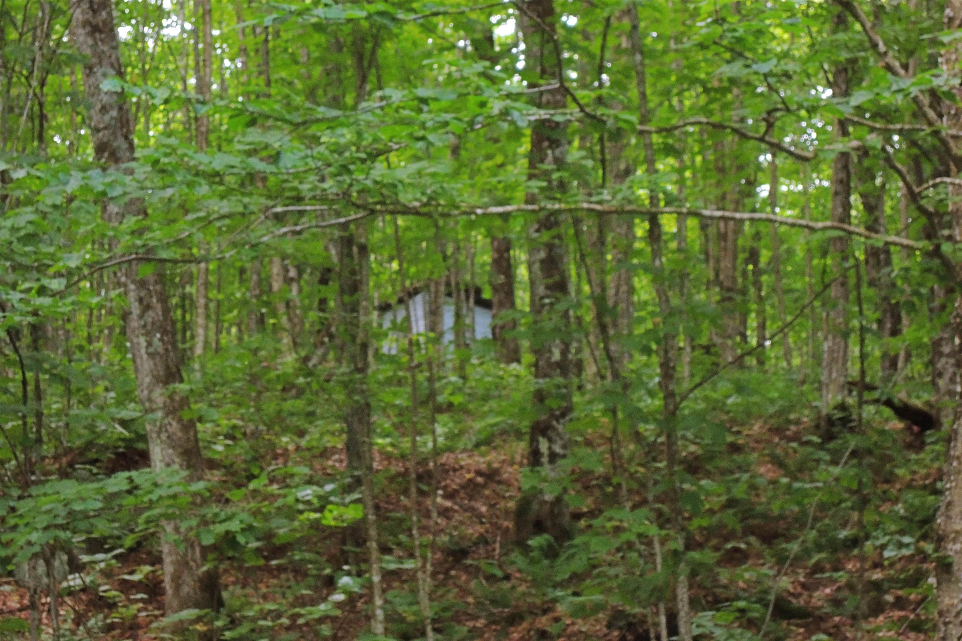 3383 Island Pond Road Morgan, VT 05853 - Photo 27 of 40