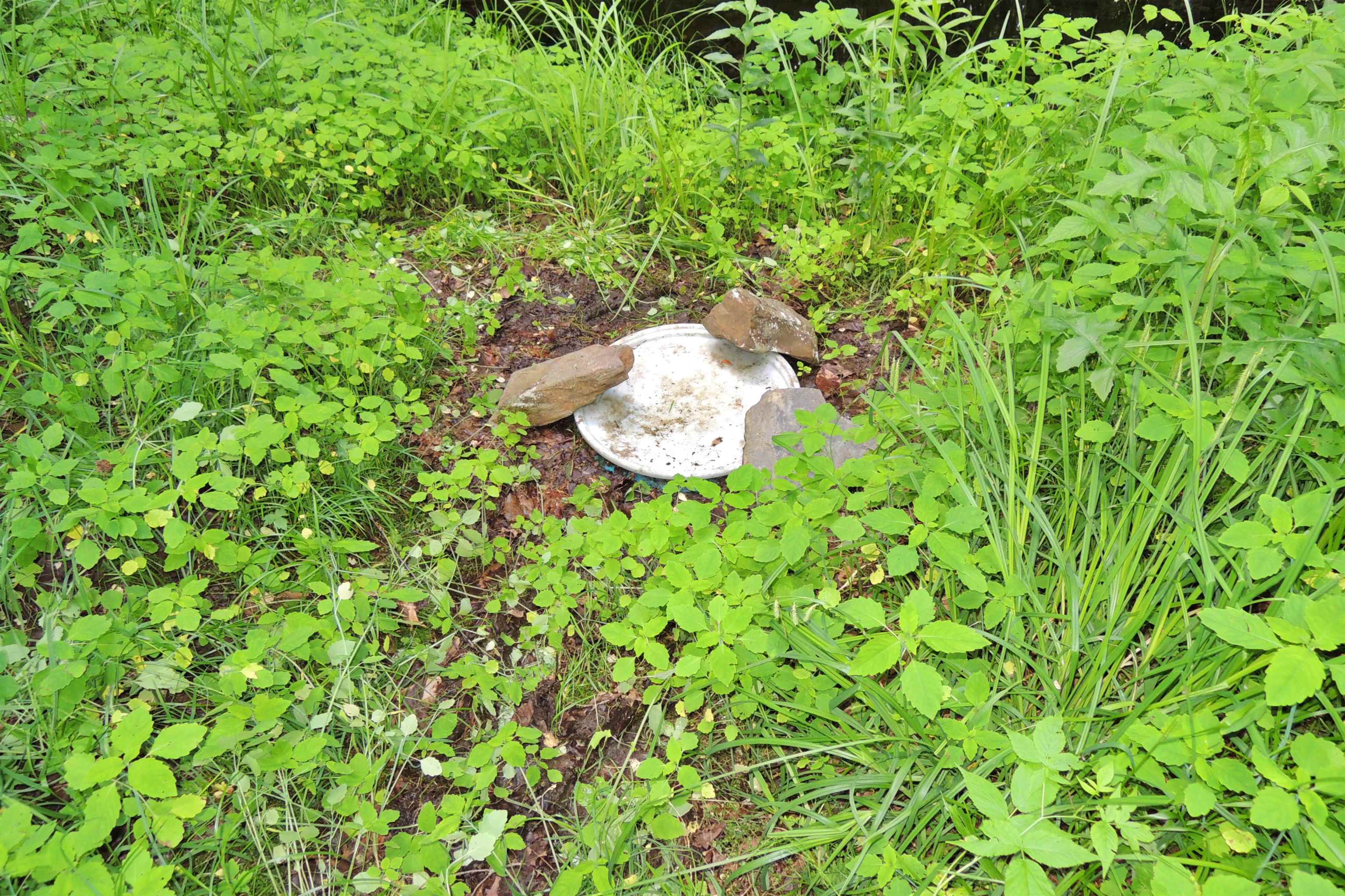 3383 Island Pond Road Morgan, VT 05853 - Photo 37 of 40