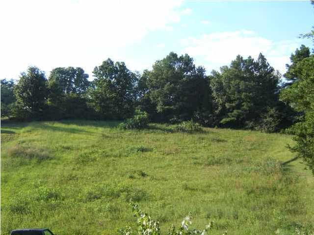 0 County Rd 244 Athens, TN 37303 - Photo 3 of 5 Additional Photo