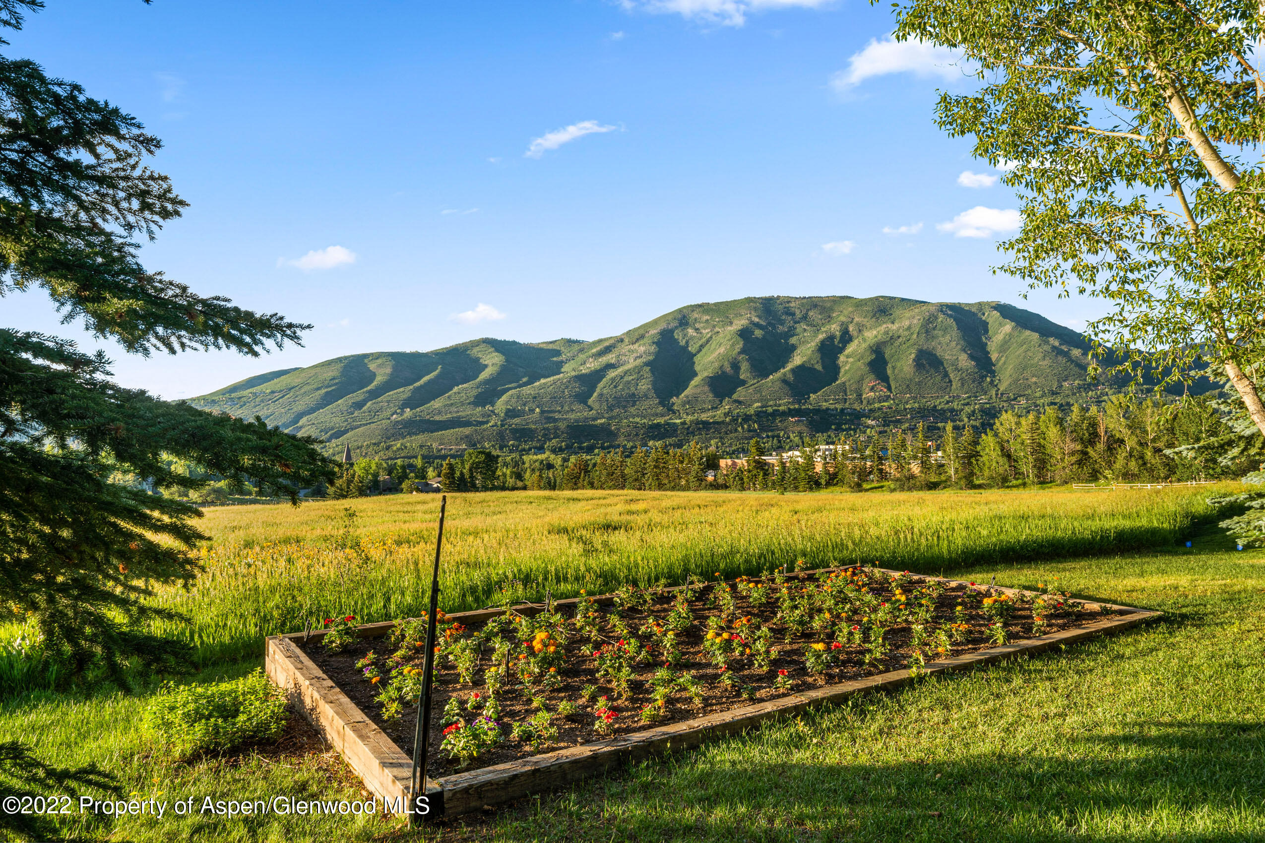 61 Primrose Path Aspen, CO 81611 - Photo 12 of 48 a view of an outdoor area
