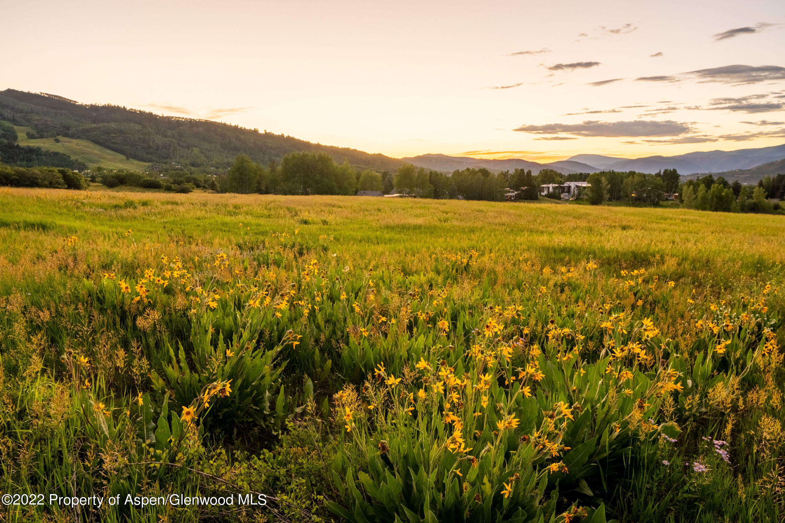 61 Primrose Path Aspen, CO 81611 - Photo 22 of 48 a view of an ocean and a mountain