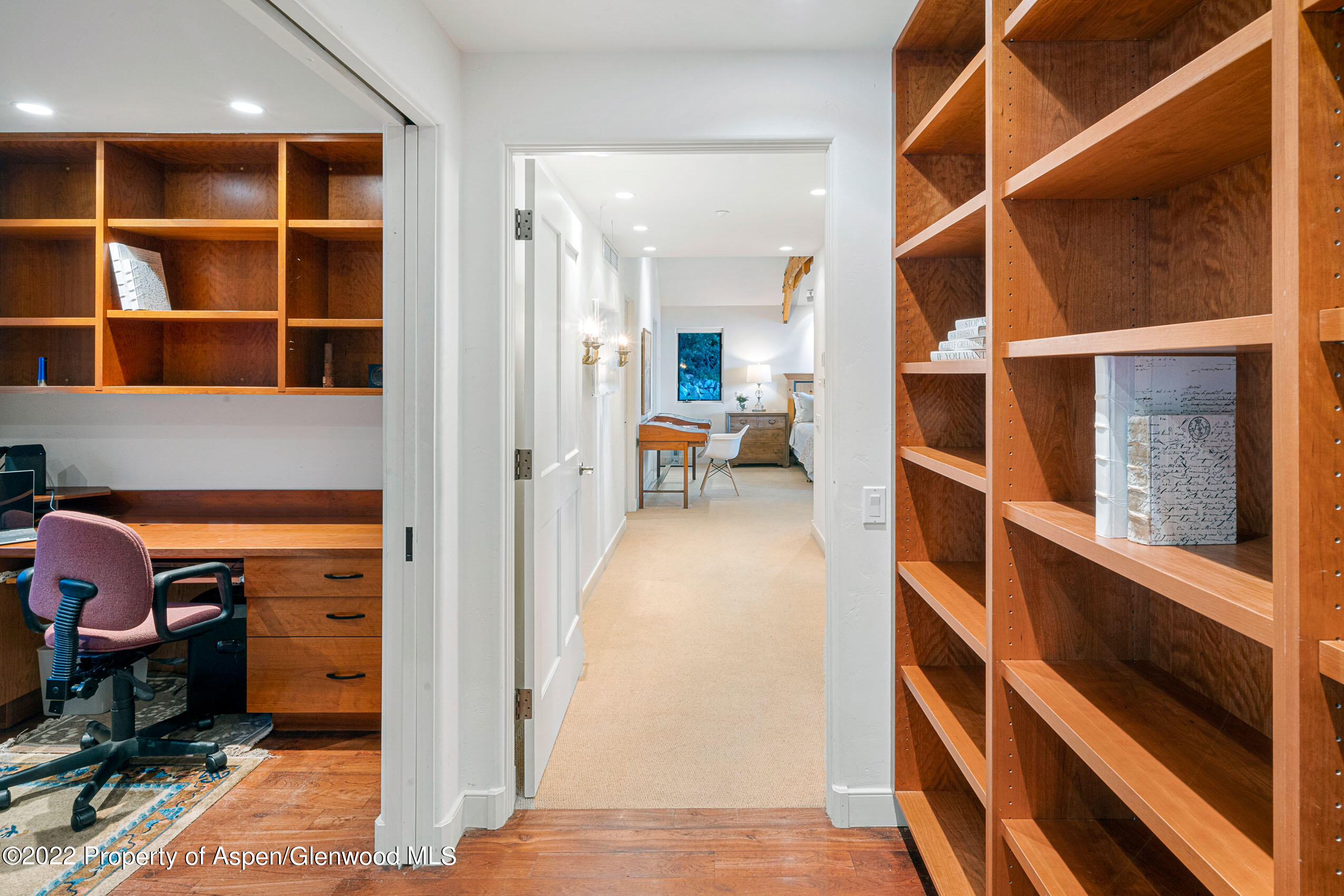 61 Primrose Path Aspen, CO 81611 - Photo 31 of 48 a view of walk in closet with clothes and shoes