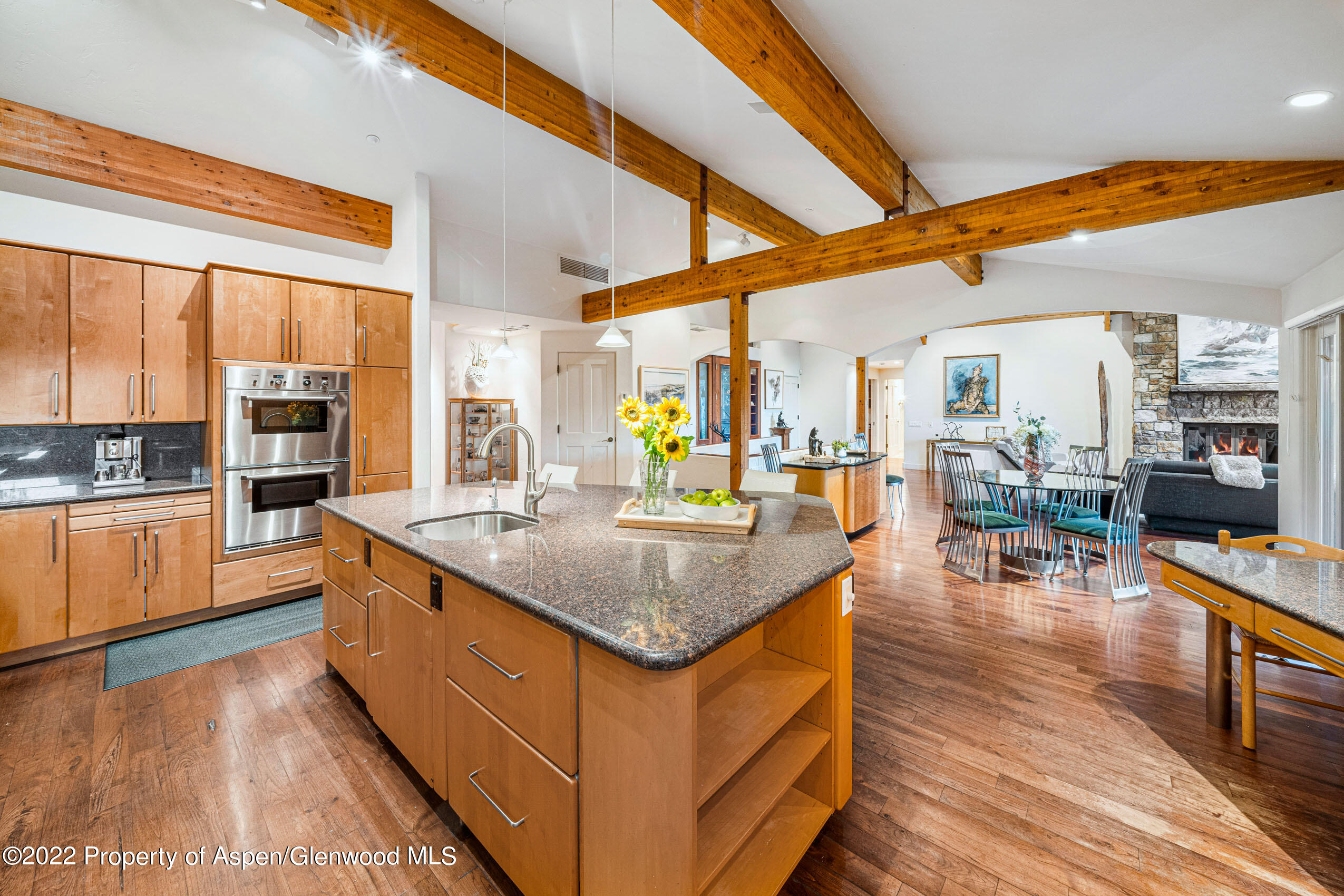 61 Primrose Path Aspen, CO 81611 - Photo 48 of 48 a kitchen with stainless steel appliances granite countertop a stove and living room view