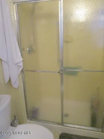 a bathroom with a shower and a toilet