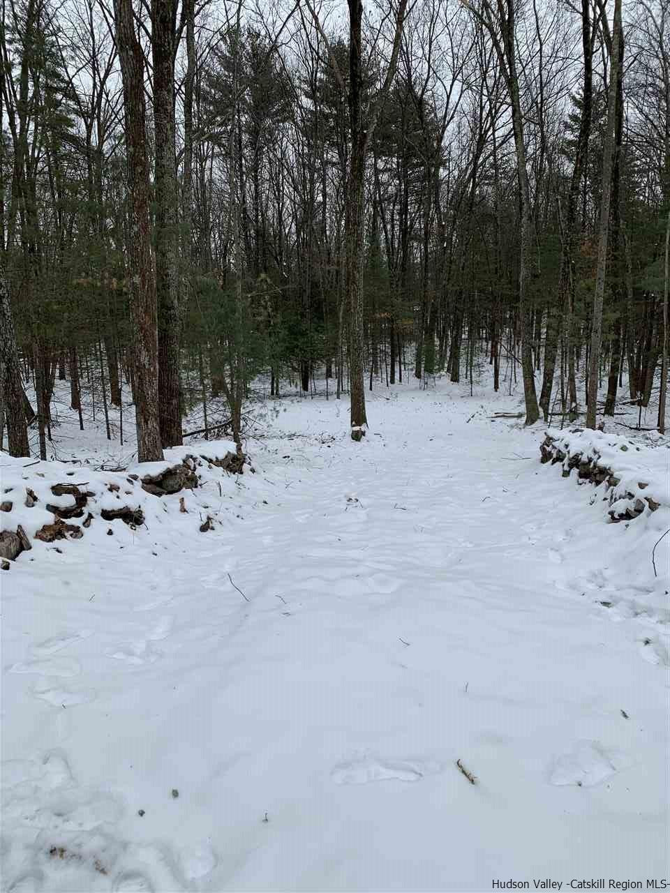 Tbd Samsonville Road Kerhonkson, NY 12446 - Photo 11 of 14 Photo 11