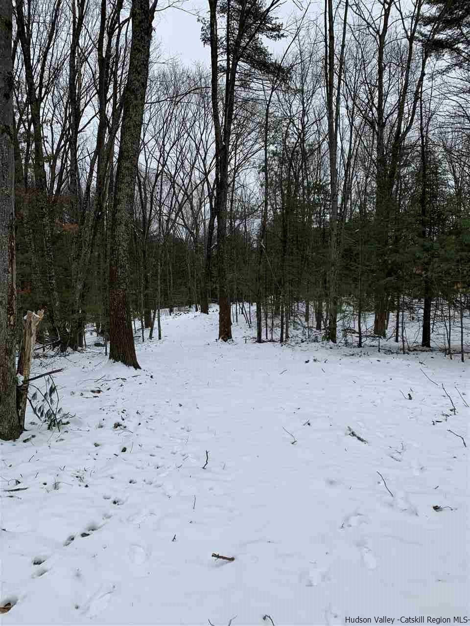 Tbd Samsonville Road Kerhonkson, NY 12446 - Photo 12 of 14 Photo 12