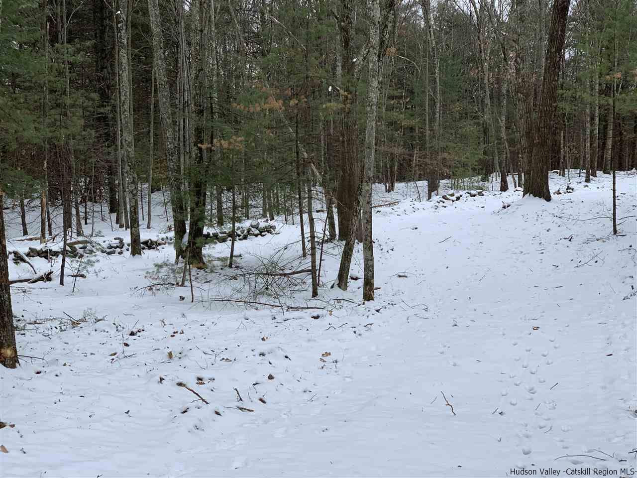 Tbd Samsonville Road Kerhonkson, NY 12446 - Photo 13 of 14 Photo 13